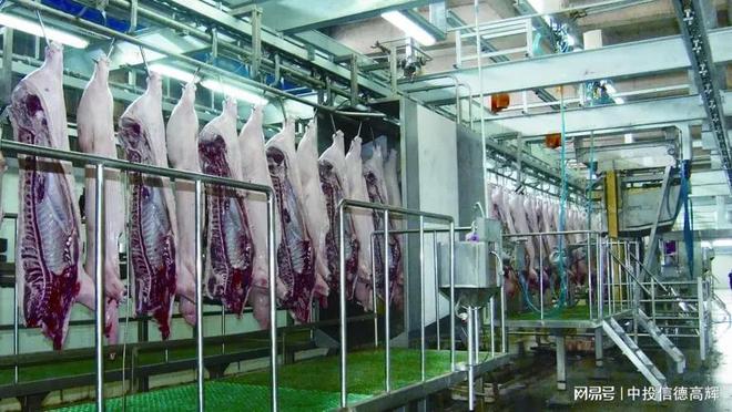 生豬屠宰加工廠與配套果蔬加工設備項目可行性研究